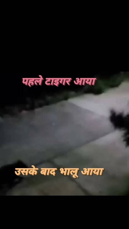 🚨 ब्रेकिंग कोटा | रिहायशी कॉलोनी में भालू की दस्तक
देर रात रिद्धि-सिद्धि कॉलोनी में घूमता दिखा भालू, लोगों में मचा हड़कंप
कोटा। कुन्हाड़ी थाना क्षेत्र की रिद्धि-सिद्धि कॉलोनी में देर रात उस समय अफरा-तफरी मच गई, जब रिहायशी इलाके में एक भालू मकानों के बाहर घूमता हुआ नजर आया। कॉलोनी के लोगों ने भालू को अपने मोबाइल कैमरों में कैद कर लिया।
बताया जा रहा है कि भालू नांता के जंगलों की ओर से रिहायशी क्षेत्र में पहुंचा। भालू को आबादी के बीच देखकर लोगों में दहशत फैल गई और लोग घरों से बाहर निकलने से बचते नजर आए।
खास बात यह है कि कुछ दिन पहले इसी इलाके के आसपास टाइगर की मौजूदगी भी सामने आई थी। ऐसे में लगातार जंगली जानवरों के रिहायशी इलाकों की ओर आने से सवाल उठ रहा है—आखिर जंगल छोड़कर जानवर कोटा शहर की ओर क्यों रुख कर रहे हैं?
स्थानीय लोगों ने वन विभाग से इलाके में गश्त बढ़ाने और जंगली जानवरों की आवाजाही पर निगरानी रखने की मांग की