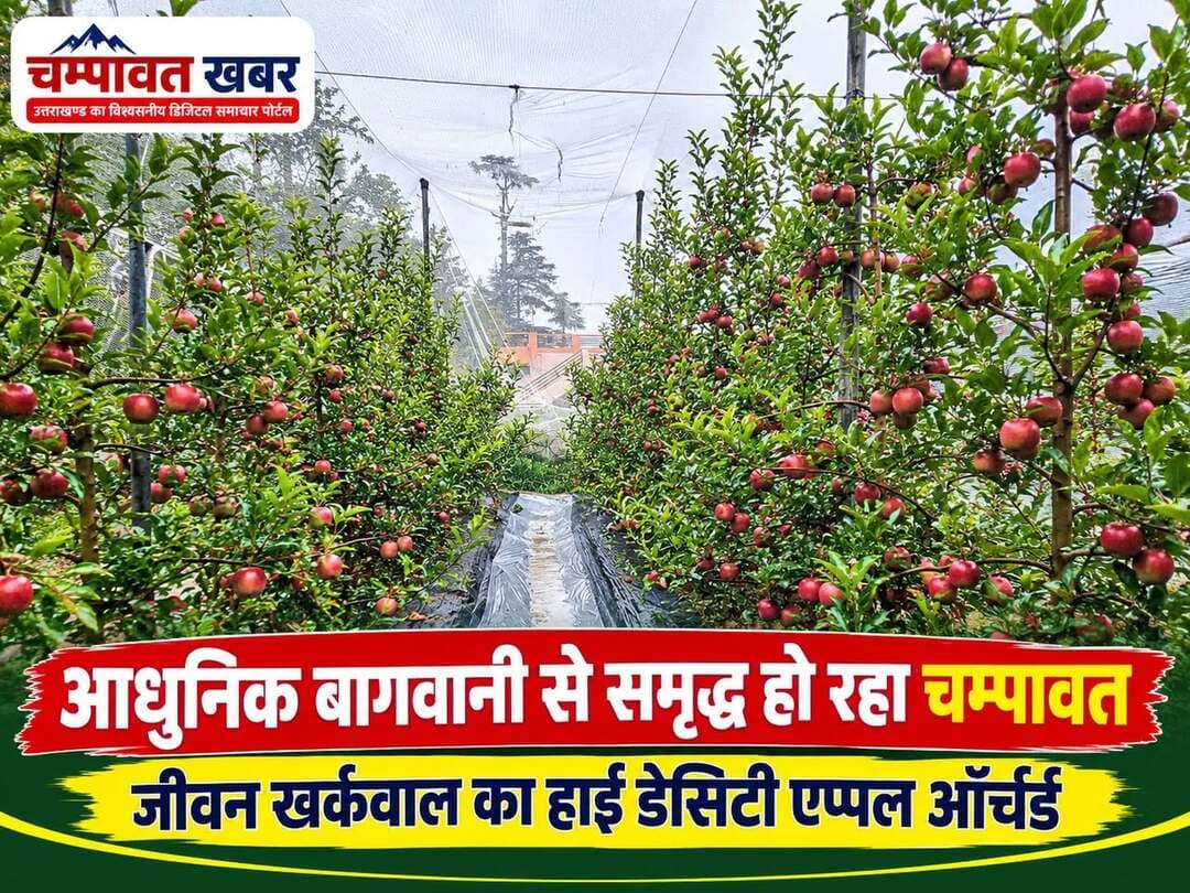 आधुनिक बागवानी से समृद्ध हो रहे चम्पावत के किसान, जीवन खर्कवाल बने मिसाल https://champawatkhabar.com/jeevan-kharkwal-farmer-of-champawat/
