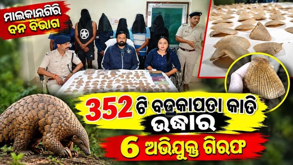 ମାଲକାନଗିରି ବନ ବିଭାଗ ପକ୍ଷରୁ ୩୫୨ଟି “ବଜ୍ରକାପ୍ତା କାତି ଉଦ୍ଧାର ୬ ଅଭିଯୁକ୍ତ ଗିରଫ।