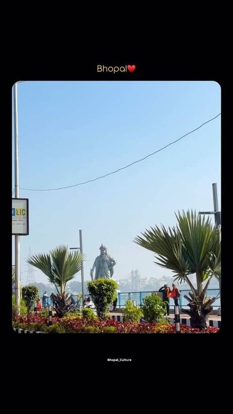 सुकून की शाम भोपाल के साथ
#bhopal #bhopal_the_city_of_lakes #bhopal_culture #bhopali #rajabhojsetu