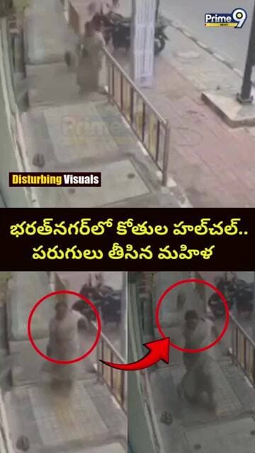 Monkey Gang Viral Video: భరత్నగర్లో కోతుల హల్చల్.. పరుగులు తీసిన మహిళ | Prime9 News