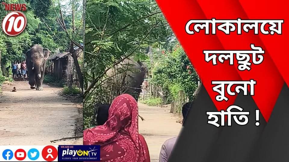 লোকালয়ে দলছুট বুনো হাতি ! || ঝাড়গ্রাম || #NewsUpdate #Healthcare #humanity #tvnews10 #Durgapur #DurgapurNews #বাংলার_খবর #BreakingNews #TVNews10 #followerseveryone #followers #tvnews10 #localnews #follower #TMC #BJPNEWS #WestBengal #BreakingNews #LiveUpdate #BengalNews || https://public.app || website : www.tvnews10.com