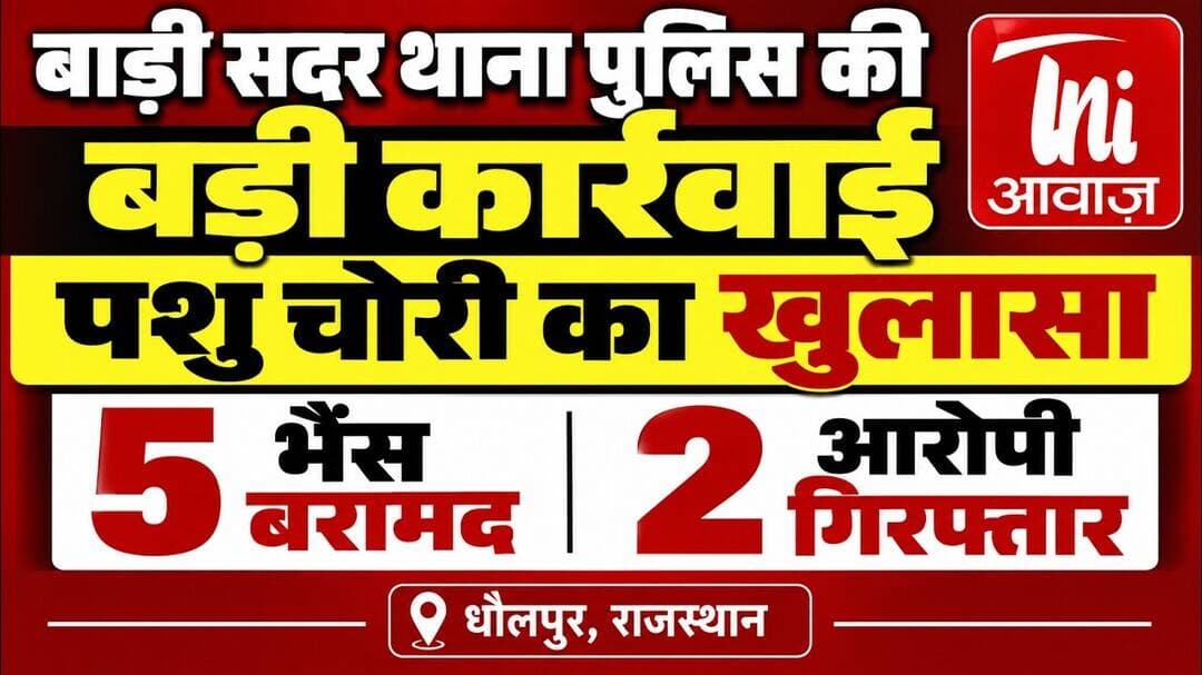 बाड़ी सदर थाना पुलिस की बड़ी कार्रवाई, पशु चोरी का खुलासा; 5 भैंस बरामद, 2 आरोपी गिरफ्तार