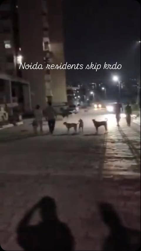 Noida residents skip krdo
.
.
.
.
.
.
.
.
.
.
#noida #greaternoida #thisisnoidacity #streetdog