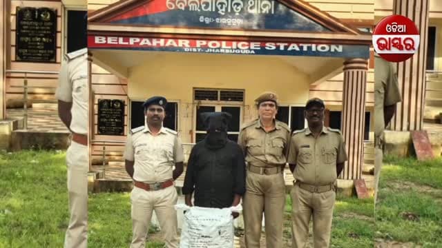 ବେଲପାହାଡ଼ରେ ୮.୩୫ କେଜି ଗଞ୍ଜେଇ ଜବତ, ଜଣେ ଗିରଫ