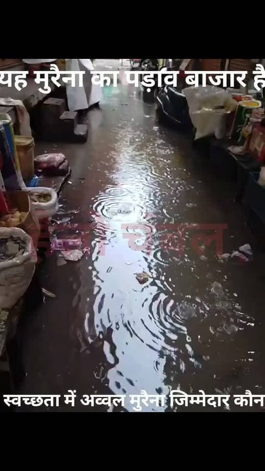 मुरैना शहर का पड़ाव बाजार जरा सी बारिश होते ही हो जाता है तालाब में तब्दील।