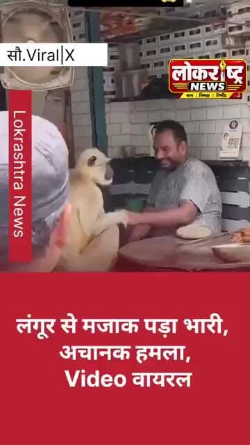 लंगूर से मजाक पड़ा भारी, अचानक हमला, Video वायरल