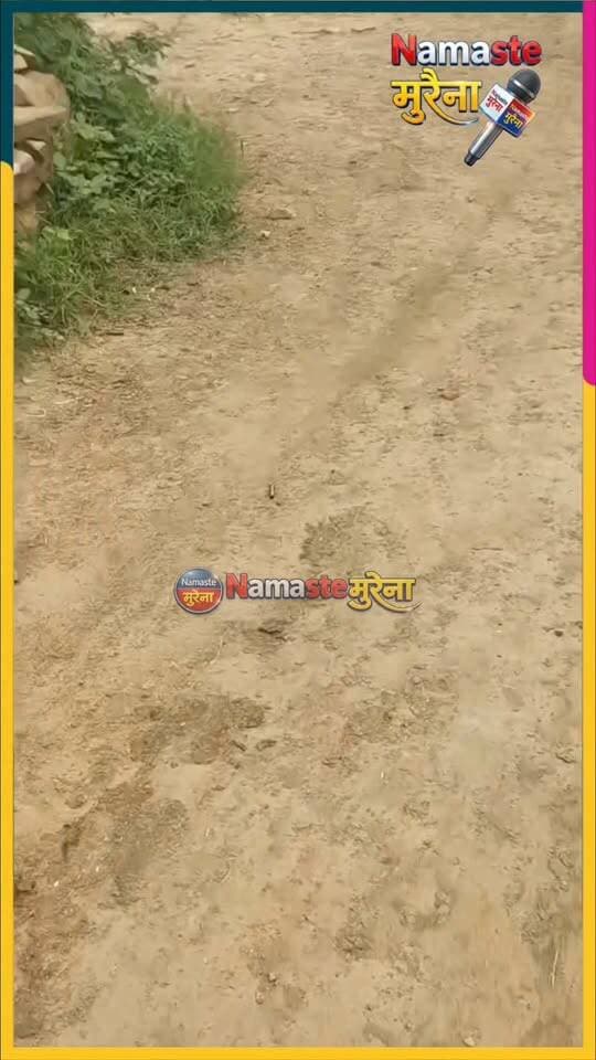 मुरैना ब्रेकिंग --MCX के पैसों के लेनदेन को लेकर 25 से 30 बदमाशों ने घर पर बोला हमला, ताबड़तोड़ फायरिंग में 3 घायल
