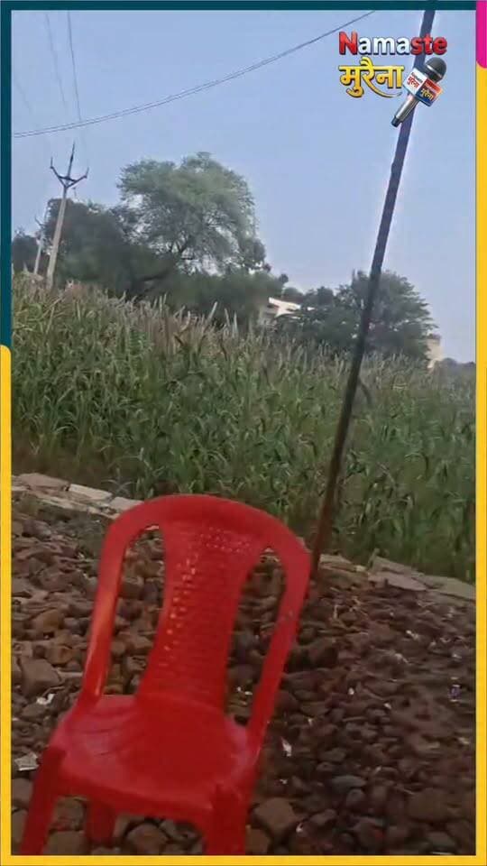 थाना रामपुर कला क्षेत्र के ग्राम रूनघान ढाबा पर बिक रही अवैध शराब
वीडियो हो रहा सोशल मीडिया पर वायरल