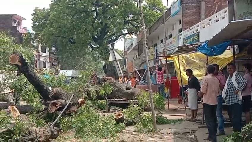 विशालकाय नीम का पेड़ सड़क पर गिरा, कार क्षतिग्रस्त; पांच बिजली के खंभे टूटने से घंटों बाधित रहा यातायात
प्रयागराज-बांदा राजमार्ग पर बड़ा हादसा टला, समय रहते लोग हटे तो बचीं कई जानें
वन विभाग और बिजली विभाग ने संभाला मोर्चा, मरम्मत के बाद बहाल हुआ आवागमन
✒️ रिपोर्ट: सहयोगी सुनील व प्रमोद यादव के साथ राजेश सोनकर प्रयागराज
जसरा/प्रयागराज। प्रयागराज-बांदा राजमार्ग पर रविवार सुबह जसरा लाइन पार मोहल्ले के पास एक पुराना विशालकाय नीम का पेड़ अचानक जड़ सहित सड़क पर गिर पड़ा। हादसे में सड़क किनारे खड़ी एक वैगनआर कार बुरी तरह क्षतिग्रस्त हो गई, जबकि बिजली के पांच खंभे टूट गए और 440 वोल्ट की विद्युत लाइन सड़क पर गिर गई। संयोगवश घटना के समय कोई राहगीर पेड़ की चपेट में नहीं आया, जिससे बड़ा जनहानि वाला हादसा टल गया।
प्रत्यक्षदर्शियों के अनुसार, कार मालिक बब्बन सिंह पंचर बनवाने के लिए वाहन खड़ा कर पास में केला खरीदने गए थे। इसी दौरान विशाल पेड़ भरभराकर कार पर गिर पड़ा। वहीं पास में मौजूद पंचर बनाने वाला व्यक्ति भी समय रहते सुरक्षित स्थान पर हट गया।
स्थानीय दुकानदार किसलय केसरवानी ने बताया कि पेड़ गिरने से उनकी दुकान के बाहर रखा कुछ सामान भी क्षतिग्रस्त हुआ। हालांकि राहत की बात यह रही कि इस घटना में किसी के हताहत होने की सूचना नहीं है।
पेड़ गिरने के कारण प्रयागराज-बांदा राजमार्ग पर दोनों ओर वाहनों की लंबी कतार लग गई। स्थानीय लोगों ने स्वयं पहल करते हुए पेड़ की कुछ डालियां हटाईं, जिससे छोटे वाहनों की आवाजाही आंशिक रूप से शुरू हो सकी। इसके बावजूद कई घंटों तक यातायात प्रभावित रहा।
बिजली विभाग के जूनियर इंजीनियर (जेई) ने बताया कि घटना में पांच बिजली के खंभे क्षतिग्रस्त हुए हैं। विभाग ने नुकसान का आकलन तैयार कर उच्चाधिकारियों को भेज दिया है और विद्युत आपूर्ति बहाल करने के लिए युद्धस्तर पर मरम्मत कार्य कराया गया।
दोपहर बाद वन विभाग की टीम ने मौके पर पहुंचकर पेड़ को कटवाकर सड़क से हटवाया। इसके बाद राजमार्ग पर यातायात सामान्य हो सका। समाचार लिखे जाने तक बिजली विभाग क्षतिग्रस्त खंभों के स्थान पर नए खंभे लगाने और लाइन बहाल करने में जुटा हुआ था।
यह घटना बताती है कि बरसात के मौसम में पुराने और जर्जर पेड़ कभी भी गंभीर दुर्घटना का कारण बन सकते हैं। समय रहते संबंधित विभागों द्वारा ऐसे पेड़ों का सर्वेक्षण और आवश्यक कार्रवाई की जाए तो बड़े हादसों को टाला जा सकता है।
🟥 ND NEWS | दैनिक निष्पक्ष धारा की अपील
बरसात के मौसम में पुराने एवं जर्जर पेड़ों के आसपास वाहन खड़ा करने से बचें। यदि किसी क्षेत्र में झुके हुए या सूखे पेड़ दिखाई दें तो इसकी सूचना तत्काल वन विभाग, स्थानीय प्रशासन या बिजली विभाग को दें। प्रशासन से अपेक्षा है कि मुख्य मार्गों के किनारे खड़े जोखिमपूर्ण पेड़ों का समय-समय पर निरीक्षण कर आवश्यक छंटाई अथवा हटाने की कार्रवाई सुनिश्चित की जाए, ताकि जन-धन की हानि रोकी जा सके।
👇👇👇
#NDNews #दैनिक_निष्पक्ष_धारा #Prayagraj #Jasra #TreeFall #RoadAccident #ElectricityDepartment #ForestDepartment #RoadSafety #UPNews #PowerSupply #TrafficAlert
👇👇👇👇
@dgpup
@UPGovt
@RSSorg
@Uppolice
@wpl1090
@RSSgeet
@MIB_India
@PMOIndia
@HMOIndia
@VHPDigital
@CMOUP_RC
@myogioffice
@InfoDeptUP
@CMOfficeUP
@UPPRD1948
@ChiefSecyUP
@MahantYogiG
@ChiefSecyUP
@BajrangDalOrg
@myogiadityanath
@112UttarPradesh
@UPPViralCheck
@UpPolicemitra
@prayagraj_pol
@ADGZonPrayagraj
@DM_PRAYAGRAJ
@CommissionerPrg
@NigamPrayagraj
@Prayagraj_TP
@PROdefprayagraj
👇👇👇
🟥 ND NEWS | दैनिक निष्पक्ष धारा
मुख्य संपादक / संस्थापक: राजन सिंह हाड़ा
सह-संपादक: शालिनी सिंह भदौरिया
✒️ रिपोर्ट: सहयोगी सुनील व प्रमोद यादव के साथ राजेश सोनकर प्रयागराज
📍 कार्यालय-3: U158, हीरा स्वीट्स के पास, विकास मार्ग, लक्ष्मी नगर, पूर्वी दिल्ली, पिन कोड – 110092 (NCR)
📍 कार्यालय-2: विधानसभा रोड, बर्लिंगटन चौराहा, लखनऊ – 226001 (UP)
📍 कार्यालय-1: 1/1 अटल बिहारी चौराहा, नियर बर्मा चौराहा, फतेहपुर – 212601 (UP)
📅 दिनांक: 13 सितम्बर 2026
📆 दिन: रविवार
📧 Email: ndnewschannel@gmail.com
📞 मोबाइल: 9696119696
नोट: यह समाचार उपलब्ध स्थानीय जानकारी पर आधारित है। क्षति का अंतिम आकलन संबंधित विभागों की आधिकारिक रिपोर्ट के बाद ही स्पष्ट होगा।