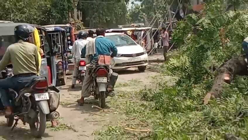 विशालकाय नीम का पेड़ सड़क पर गिरा, कार क्षतिग्रस्त; पांच बिजली के खंभे टूटने से घंटों बाधित रहा यातायात
प्रयागराज-बांदा राजमार्ग पर बड़ा हादसा टला, समय रहते लोग हटे तो बचीं कई जानें
वन विभाग और बिजली विभाग ने संभाला मोर्चा, मरम्मत के बाद बहाल हुआ आवागमन
✒️ रिपोर्ट: सहयोगी सुनील व प्रमोद यादव के साथ राजेश सोनकर प्रयागराज
जसरा/प्रयागराज। प्रयागराज-बांदा राजमार्ग पर रविवार सुबह जसरा लाइन पार मोहल्ले के पास एक पुराना विशालकाय नीम का पेड़ अचानक जड़ सहित सड़क पर गिर पड़ा। हादसे में सड़क किनारे खड़ी एक वैगनआर कार बुरी तरह क्षतिग्रस्त हो गई, जबकि बिजली के पांच खंभे टूट गए और 440 वोल्ट की विद्युत लाइन सड़क पर गिर गई। संयोगवश घटना के समय कोई राहगीर पेड़ की चपेट में नहीं आया, जिससे बड़ा जनहानि वाला हादसा टल गया।
प्रत्यक्षदर्शियों के अनुसार, कार मालिक बब्बन सिंह पंचर बनवाने के लिए वाहन खड़ा कर पास में केला खरीदने गए थे। इसी दौरान विशाल पेड़ भरभराकर कार पर गिर पड़ा। वहीं पास में मौजूद पंचर बनाने वाला व्यक्ति भी समय रहते सुरक्षित स्थान पर हट गया।
स्थानीय दुकानदार किसलय केसरवानी ने बताया कि पेड़ गिरने से उनकी दुकान के बाहर रखा कुछ सामान भी क्षतिग्रस्त हुआ। हालांकि राहत की बात यह रही कि इस घटना में किसी के हताहत होने की सूचना नहीं है।
पेड़ गिरने के कारण प्रयागराज-बांदा राजमार्ग पर दोनों ओर वाहनों की लंबी कतार लग गई। स्थानीय लोगों ने स्वयं पहल करते हुए पेड़ की कुछ डालियां हटाईं, जिससे छोटे वाहनों की आवाजाही आंशिक रूप से शुरू हो सकी। इसके बावजूद कई घंटों तक यातायात प्रभावित रहा।
बिजली विभाग के जूनियर इंजीनियर (जेई) ने बताया कि घटना में पांच बिजली के खंभे क्षतिग्रस्त हुए हैं। विभाग ने नुकसान का आकलन तैयार कर उच्चाधिकारियों को भेज दिया है और विद्युत आपूर्ति बहाल करने के लिए युद्धस्तर पर मरम्मत कार्य कराया गया।
दोपहर बाद वन विभाग की टीम ने मौके पर पहुंचकर पेड़ को कटवाकर सड़क से हटवाया। इसके बाद राजमार्ग पर यातायात सामान्य हो सका। समाचार लिखे जाने तक बिजली विभाग क्षतिग्रस्त खंभों के स्थान पर नए खंभे लगाने और लाइन बहाल करने में जुटा हुआ था।
यह घटना बताती है कि बरसात के मौसम में पुराने और जर्जर पेड़ कभी भी गंभीर दुर्घटना का कारण बन सकते हैं। समय रहते संबंधित विभागों द्वारा ऐसे पेड़ों का सर्वेक्षण और आवश्यक कार्रवाई की जाए तो बड़े हादसों को टाला जा सकता है।
🟥 ND NEWS | दैनिक निष्पक्ष धारा की अपील
बरसात के मौसम में पुराने एवं जर्जर पेड़ों के आसपास वाहन खड़ा करने से बचें। यदि किसी क्षेत्र में झुके हुए या सूखे पेड़ दिखाई दें तो इसकी सूचना तत्काल वन विभाग, स्थानीय प्रशासन या बिजली विभाग को दें। प्रशासन से अपेक्षा है कि मुख्य मार्गों के किनारे खड़े जोखिमपूर्ण पेड़ों का समय-समय पर निरीक्षण कर आवश्यक छंटाई अथवा हटाने की कार्रवाई सुनिश्चित की जाए, ताकि जन-धन की हानि रोकी जा सके।
👇👇👇
#NDNews #दैनिक_निष्पक्ष_धारा #Prayagraj #Jasra #TreeFall #RoadAccident #ElectricityDepartment #ForestDepartment #RoadSafety #UPNews #PowerSupply #TrafficAlert
👇👇👇👇
@dgpup
@UPGovt
@RSSorg
@Uppolice
@wpl1090
@RSSgeet
@MIB_India
@PMOIndia
@HMOIndia
@VHPDigital
@CMOUP_RC
@myogioffice
@InfoDeptUP
@CMOfficeUP
@UPPRD1948
@ChiefSecyUP
@MahantYogiG
@ChiefSecyUP
@BajrangDalOrg
@myogiadityanath
@112UttarPradesh
@UPPViralCheck
@UpPolicemitra
@prayagraj_pol
@ADGZonPrayagraj
@DM_PRAYAGRAJ
@CommissionerPrg
@NigamPrayagraj
@Prayagraj_TP
@PROdefprayagraj
👇👇👇
🟥 ND NEWS | दैनिक निष्पक्ष धारा
मुख्य संपादक / संस्थापक: राजन सिंह हाड़ा
सह-संपादक: शालिनी सिंह भदौरिया
✒️ रिपोर्ट: सहयोगी सुनील व प्रमोद यादव के साथ राजेश सोनकर प्रयागराज
📍 कार्यालय-3: U158, हीरा स्वीट्स के पास, विकास मार्ग, लक्ष्मी नगर, पूर्वी दिल्ली, पिन कोड – 110092 (NCR)
📍 कार्यालय-2: विधानसभा रोड, बर्लिंगटन चौराहा, लखनऊ – 226001 (UP)
📍 कार्यालय-1: 1/1 अटल बिहारी चौराहा, नियर बर्मा चौराहा, फतेहपुर – 212601 (UP)
📅 दिनांक: 13 सितम्बर 2026
📆 दिन: रविवार
📧 Email: ndnewschannel@gmail.com
📞 मोबाइल: 9696119696
नोट: यह समाचार उपलब्ध स्थानीय जानकारी पर आधारित है। क्षति का अंतिम आकलन संबंधित विभागों की आधिकारिक रिपोर्ट के बाद ही स्पष्ट होगा।