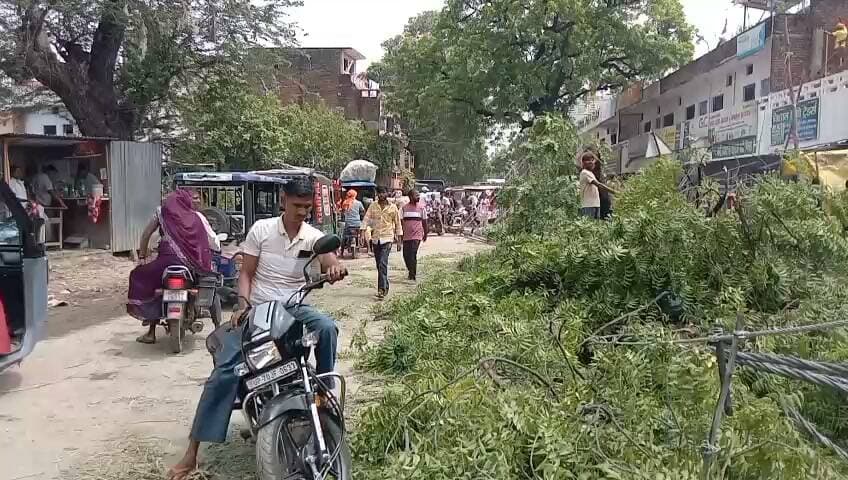 विशालकाय नीम का पेड़ सड़क पर गिरा, कार क्षतिग्रस्त; पांच बिजली के खंभे टूटने से घंटों बाधित रहा यातायात
प्रयागराज-बांदा राजमार्ग पर बड़ा हादसा टला, समय रहते लोग हटे तो बचीं कई जानें
वन विभाग और बिजली विभाग ने संभाला मोर्चा, मरम्मत के बाद बहाल हुआ आवागमन
✒️ रिपोर्ट: सहयोगी सुनील व प्रमोद यादव के साथ राजेश सोनकर प्रयागराज
जसरा/प्रयागराज। प्रयागराज-बांदा राजमार्ग पर रविवार सुबह जसरा लाइन पार मोहल्ले के पास एक पुराना विशालकाय नीम का पेड़ अचानक जड़ सहित सड़क पर गिर पड़ा। हादसे में सड़क किनारे खड़ी एक वैगनआर कार बुरी तरह क्षतिग्रस्त हो गई, जबकि बिजली के पांच खंभे टूट गए और 440 वोल्ट की विद्युत लाइन सड़क पर गिर गई। संयोगवश घटना के समय कोई राहगीर पेड़ की चपेट में नहीं आया, जिससे बड़ा जनहानि वाला हादसा टल गया।
प्रत्यक्षदर्शियों के अनुसार, कार मालिक बब्बन सिंह पंचर बनवाने के लिए वाहन खड़ा कर पास में केला खरीदने गए थे। इसी दौरान विशाल पेड़ भरभराकर कार पर गिर पड़ा। वहीं पास में मौजूद पंचर बनाने वाला व्यक्ति भी समय रहते सुरक्षित स्थान पर हट गया।
स्थानीय दुकानदार किसलय केसरवानी ने बताया कि पेड़ गिरने से उनकी दुकान के बाहर रखा कुछ सामान भी क्षतिग्रस्त हुआ। हालांकि राहत की बात यह रही कि इस घटना में किसी के हताहत होने की सूचना नहीं है।
पेड़ गिरने के कारण प्रयागराज-बांदा राजमार्ग पर दोनों ओर वाहनों की लंबी कतार लग गई। स्थानीय लोगों ने स्वयं पहल करते हुए पेड़ की कुछ डालियां हटाईं, जिससे छोटे वाहनों की आवाजाही आंशिक रूप से शुरू हो सकी। इसके बावजूद कई घंटों तक यातायात प्रभावित रहा।
बिजली विभाग के जूनियर इंजीनियर (जेई) ने बताया कि घटना में पांच बिजली के खंभे क्षतिग्रस्त हुए हैं। विभाग ने नुकसान का आकलन तैयार कर उच्चाधिकारियों को भेज दिया है और विद्युत आपूर्ति बहाल करने के लिए युद्धस्तर पर मरम्मत कार्य कराया गया।
दोपहर बाद वन विभाग की टीम ने मौके पर पहुंचकर पेड़ को कटवाकर सड़क से हटवाया। इसके बाद राजमार्ग पर यातायात सामान्य हो सका। समाचार लिखे जाने तक बिजली विभाग क्षतिग्रस्त खंभों के स्थान पर नए खंभे लगाने और लाइन बहाल करने में जुटा हुआ था।
यह घटना बताती है कि बरसात के मौसम में पुराने और जर्जर पेड़ कभी भी गंभीर दुर्घटना का कारण बन सकते हैं। समय रहते संबंधित विभागों द्वारा ऐसे पेड़ों का सर्वेक्षण और आवश्यक कार्रवाई की जाए तो बड़े हादसों को टाला जा सकता है।
🟥 ND NEWS | दैनिक निष्पक्ष धारा की अपील
बरसात के मौसम में पुराने एवं जर्जर पेड़ों के आसपास वाहन खड़ा करने से बचें। यदि किसी क्षेत्र में झुके हुए या सूखे पेड़ दिखाई दें तो इसकी सूचना तत्काल वन विभाग, स्थानीय प्रशासन या बिजली विभाग को दें। प्रशासन से अपेक्षा है कि मुख्य मार्गों के किनारे खड़े जोखिमपूर्ण पेड़ों का समय-समय पर निरीक्षण कर आवश्यक छंटाई अथवा हटाने की कार्रवाई सुनिश्चित की जाए, ताकि जन-धन की हानि रोकी जा सके।
👇👇👇
#NDNews #दैनिक_निष्पक्ष_धारा #Prayagraj #Jasra #TreeFall #RoadAccident #ElectricityDepartment #ForestDepartment #RoadSafety #UPNews #PowerSupply #TrafficAlert
👇👇👇👇
@dgpup
@UPGovt
@RSSorg
@Uppolice
@wpl1090
@RSSgeet
@MIB_India
@PMOIndia
@HMOIndia
@VHPDigital
@CMOUP_RC
@myogioffice
@InfoDeptUP
@CMOfficeUP
@UPPRD1948
@ChiefSecyUP
@MahantYogiG
@ChiefSecyUP
@BajrangDalOrg
@myogiadityanath
@112UttarPradesh
@UPPViralCheck
@UpPolicemitra
@prayagraj_pol
@ADGZonPrayagraj
@DM_PRAYAGRAJ
@CommissionerPrg
@NigamPrayagraj
@Prayagraj_TP
@PROdefprayagraj
👇👇👇
🟥 ND NEWS | दैनिक निष्पक्ष धारा
मुख्य संपादक / संस्थापक: राजन सिंह हाड़ा
सह-संपादक: शालिनी सिंह भदौरिया
✒️ रिपोर्ट: सहयोगी सुनील व प्रमोद यादव के साथ राजेश सोनकर प्रयागराज
📍 कार्यालय-3: U158, हीरा स्वीट्स के पास, विकास मार्ग, लक्ष्मी नगर, पूर्वी दिल्ली, पिन कोड – 110092 (NCR)
📍 कार्यालय-2: विधानसभा रोड, बर्लिंगटन चौराहा, लखनऊ – 226001 (UP)
📍 कार्यालय-1: 1/1 अटल बिहारी चौराहा, नियर बर्मा चौराहा, फतेहपुर – 212601 (UP)
📅 दिनांक: 13 सितम्बर 2026
📆 दिन: रविवार
📧 Email: ndnewschannel@gmail.com
📞 मोबाइल: 9696119696
नोट: यह समाचार उपलब्ध स्थानीय जानकारी पर आधारित है। क्षति का अंतिम आकलन संबंधित विभागों की आधिकारिक रिपोर्ट के बाद ही स्पष्ट होगा।