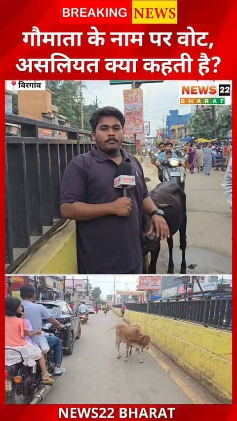 गौमाता के नाम पर वोट मांगे जाते हैं, लेकिन बीरगांव में गौठान की हालत और सड़कों पर घूमते मवेशी कई सवाल खड़े कर रहे हैं। चुनाव से पहले किए गए वादों का असर धरातल पर कितना दिख रहा है? रेस्क्यू के बाद मवेशियों को वापस क्यों छोड़ा जाता है? आखिर जिम्मेदारी किसकी है?
बीरगांव नगर निगम चुनाव से पहले गौसेवा, गौठान और मवेशियों की व्यवस्था पर News22 Bharat का बड़ा सवाल।
#Birgaon #बीरगांव #Raipur #Chhattisgarh #Gaumata Gauthan GauSeva BirgaonNagarNigam MunicipalElection ChhattisgarhNews RaipurNews News22Bharat GroundReport