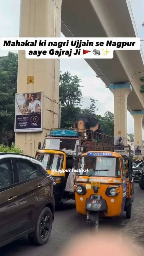 Mahakal ki nagri Ujjain se Nagpur aaye Gajraj Ji 🚩🐘✨