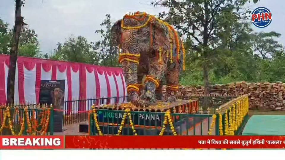 पन्ना में विश्व की सबसे बुजुर्ग हथिनी ‘वत्सला’ की प्रतिमा का अनावरण। विधानसभा अध्यक्ष तोमर बोले- गौरव का क्षण।