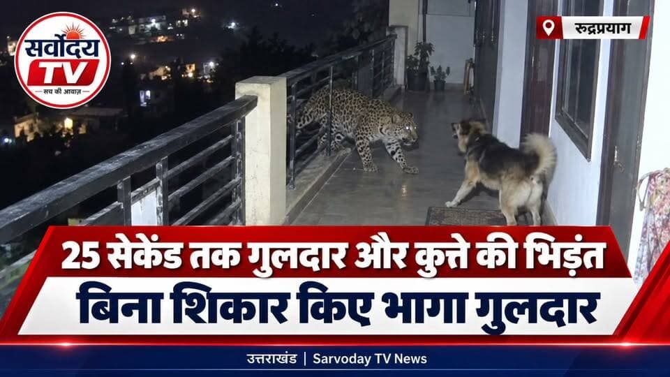 उत्तराखंड की 10 बड़ी खबरें | भारी बारिश-बर्फबारी, NSUI जीत, ED Action, H1N1 Alert, गुलदार का आतंक
उत्तराखंड की आज की 10 बड़ी खबरें एक ही वीडियो में। मौसम अलर्ट से लेकर राजनीति, ED कार्रवाई, छात्रसंघ चुनाव, H1N1 के बढ़ते मामलों और रुद्रप्रयाग में गुलदार की घटना तक सभी प्रमुख अपडेट देखें। Part 7