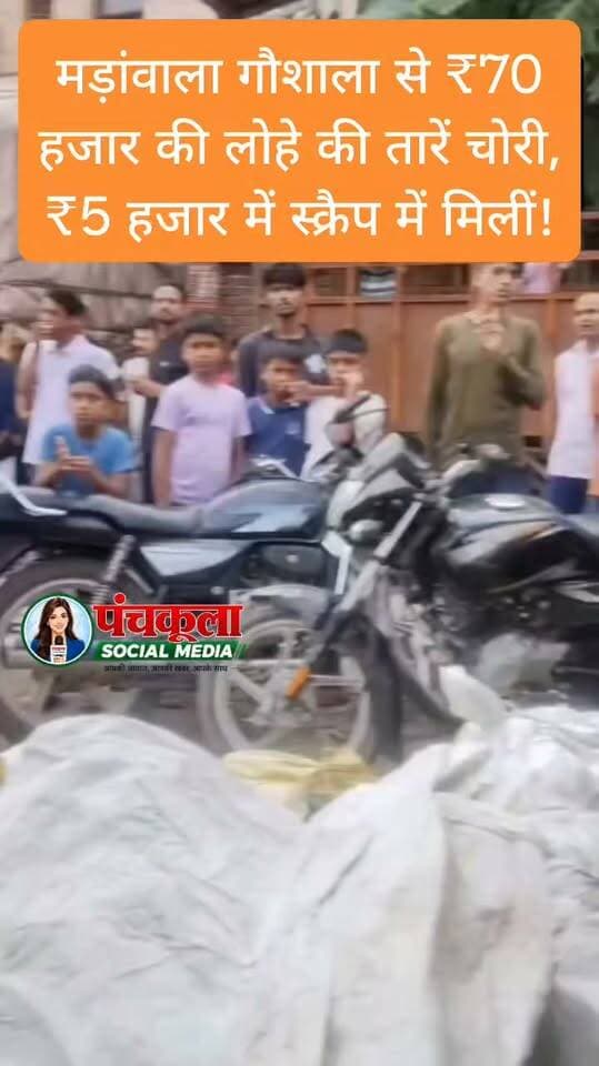 मड़ांवाला गौशाला से ₹70 हजार की लोहे की तारें चोरी, ₹5 हजार में स्क्रैप के रूप में मिलीं!
#panchkulanews #panchkula #panchkulasocialmedia