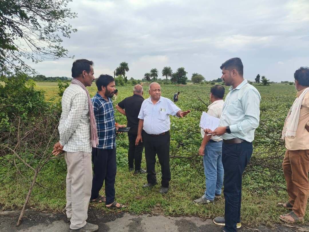 अटारीखेजडा क्षेत्र में कृषि अधिकारियों ने सोयाबीन एवं उडद फसलों की स्थिति का लिया जायजा
..
कलेक्टर श्री अंशुल गुप्ता के निर्देशानुसार कृषि विभाग विदिशा द्वारा गठित तकनीकी दल द्वारा विकासखंड ग्यारसपुर के ग्राम चक्कपाटनी, सुआखेडी, मढीपुर, अटारीखेजडा एवं इमलावदा, दैहलवाडा आदि ग्रामों में आज रविवार को सोयाबीन, उडद की फसलों का निरीक्षण किया गया।
स्थानीय जनप्रतिनिधियों , कृषकों एवं सोशल मीडिया पर प्राप्त शिकायतो के आधार पर किया निरीक्षण -
निरीक्षण के दौरान कृषक श्री सोमू रघुवंशी ग्राम मढीपुर, श्री रविन्द्र रघुवंशी ग्राम अटारीखेजडा, श्री अरूण शर्मा ग्राम दैहलवाडा , श्री ओमकार सिंह ग्राम इमलावदा, श्री राजेश पाठक ग्राम चक्कपाटनी , श्री धर्मेन्द्र सिंह ग्राम सुआखेडी आदि कृषकों के खेतो में फसलों का जायजा लिया। दल ने पाया कई खेतो में जल भराव होने से फसले प्रभावित हो रही है, फसल सघनता अधिक होने से उपयुक्त वायु संचार न होने से फलियों की संख्या कम पायी गयी।, अलनीनो प्रभाव के कारण अनियमित वर्षा होने से सोयाबीन की वानस्पतिक वृद्धि अधिक पाई गयी तथा अनुकूल वातावरण होने कीटव्याधि का अधिक प्रकोप पाया गया जिसका समय पर नियंत्रण नहीं किया गया। कृषक श्री रविन्द्र रघुवंशी ग्राम अटारीखेजडा के खेत में निरीक्षण के दौरान देखा गया कि समय पर खरपतवार नियंत्रण न करने के कारण एवं जल भराव के कारण सोयाबीन की फसल में वृद्धि कम पायी गयी एवं संपूर्ण खेत में खरपतवार देखा गया।
जिला स्तरीय निरीक्षण दल में निम्नानुसार अधिकारी सम्मिलित रहे -
उपसंचालक कृषि श्री सचिन जैन ,जिला सलाहकार डॉ डी. के. तिवारी,वरिष्ठ कृषि विकास अधिकारी श्री रूपेश बघेल, क्षेत्रीय कृषि विस्तार अधिकारी श्री गोपाल बघेल , फसल बीमा जिला प्रबंधक श्री राघवेन्द्र शर्मा फसल बीमा के क्षेत्रीय प्रतिनिधि श्री दीपक लोधी ने कृषकों के खेतों पर फसलों का निरीक्षण किया।
उक्त कृषि दल द्वारा वर्त्तमान स्थिति देखते हुए किसानो को निम्न सलाह दी गया -
रायजोक्टोनिया एरियल ब्लाइट रोग की शुरुआत पत्तियों पर पानी जैसे दाग़ के रूप मै दिखाई देती है, नियंत्रण नहीं करने पर पौधे पूर्णत: सुख जाते है, अतः रोग के लक्षण दिखाई देने पर सलाह है की तत्काल नियंत्रण हेतू अनुशंसित फफूँदनाशक फ्लूक्सापय्रोक्साड + पायरोक्लोस्ट्रोबीन (300 मिली / हे ) या पायरोक्लोस्ट्रोबीन एपोक्कोसीकोनाजोल + (750 मिली / हे )का अपने फसल पर छिड़काव करे
पीला मोजेक /सोयाबीन मोज़ेक रोग के लक्षण (पत्तियों पर चितकबरापन पत्तियों मै कुरकुरापन होना ) दिखने पर प्रारंभिक अवस्था मै ही रोगग्रस्त पौधों को खेत मै उखाड़कर निष्कासित करे तथा इन रोगों को फैलाने वाले वाहक सफ़ेद मक्खी /एफीड की रोकथाम हेतू थायोमिथो क्सम + लेंबड़ा सायहेलोथरीन (125मिली /हे )या बीटासिफ़्लूथरीन (350मिली /हे ) या इसिटेमिप्रिड 25%+बायफ़ेंथरीन 25 % WG (250gm/हे ) का छिड़काव करे. इनके छिड़काव से तना मक्खी का भी नियंत्रण किया जा सकता है, यह भी सलाह है की सफ़ेद मक्खी के नियंत्रण हेतू कृषकगण अपने खेत मै विभिन्न स्थानों पर पीला स्ट्रीक ट्रैप लगाए
पत्ती खाने वाली तम्बाकू की इल्ली के नियंत्रण हेतू केंद्रीय कीटनाशक बोर्ड द्वारा क्लोर एनट्रानीलीपोल 18.5 एस. सी.(150 मिली /हे) सहित कई अन्य रासायनिक कीटनाशकों की अनुशंसा की है जिनमें से किसी एक का छिड़काव किया जाने की सलाह है जैसे स्पाइनोटेरम 11.7 एस. सी (450मिली /हे ) या इमामेक्टिन बेंजोएट 1.90
#Vidisha