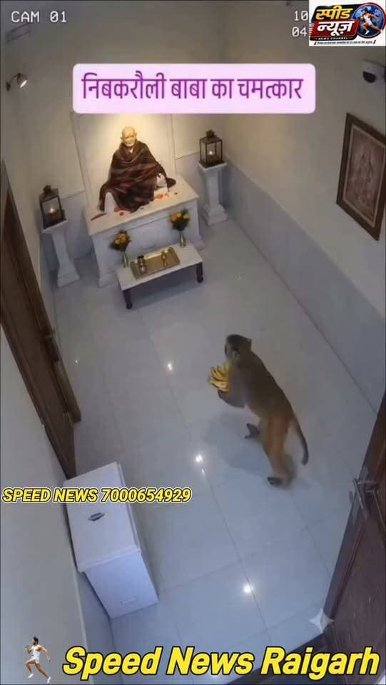 बाबा नीम करौली आश्रम में फिर हुवा चमत्कार एक बंदर हाथों में केले का गुच्छा लेकर आता है बाबा के सामने चढ़ाता है और बाबा को प्रणाम करता है जय श्री राम #viral #news #cg PM Netanyahu Press Office Amit Shah