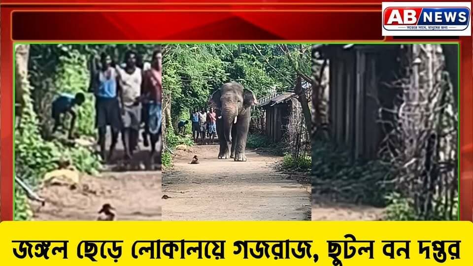 জঙ্গল ছেড়ে লোকালয়ে গজরাজ, ছুটল বন দপ্তর
#viralreelsシ #PostViral #রামলাল #বনদপ্তর