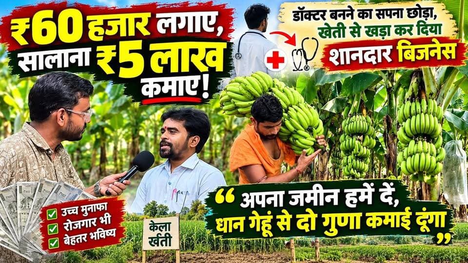 ₹60 हज़ार इन्वेस्ट कर कमाएं ₹5 लाख सालाना... डॉक्टर बनने का था सपना, पढ़ाई छोड़ खेती बाड़ी में उतर बना दिया ऐसा बिजनेस मॉडल... जो दे रहा अथाह मुनाफा, रोजगार भी
100 बीघे में कर रहे केला व पपीते की खेती... किसानों को भी प्रशिक्षण दे रहे हैं विपीन जी
व्यवसाय, कारोबार से जुड़ी जानकारी के लिये सम्पर्क करें -
HC फार्म, खोईर (मधुबनी) - 91220 42095 (विपीन जी)