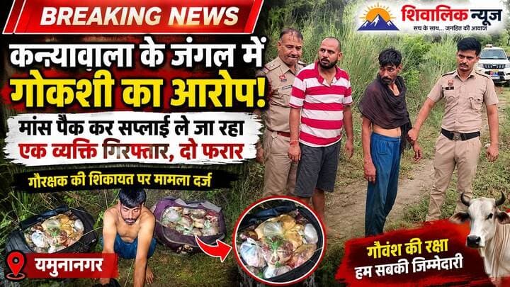 कन्यावाला वन विभाग के जंगल में गौकसी का मामला, पुलिस ने एक व्यक्ति व एक किवंटल गौमांस किया बरामद #hr71 #Sadora #yamunanagar #jagadhri #haryana #gaurakshak