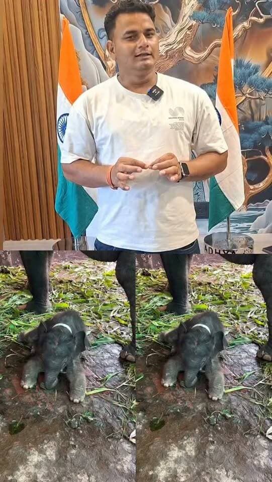 рд░рд╛рдзрд╛ рд░рд╛рдиреА рдХрд╛ рдРрд╕рд╛ рд░реВрдк, рдпреВрдкреА-рдмрд┐рд╣рд╛рд░ рдореЗрдВ рдордЪреА рдзреВрдо #bihar #up