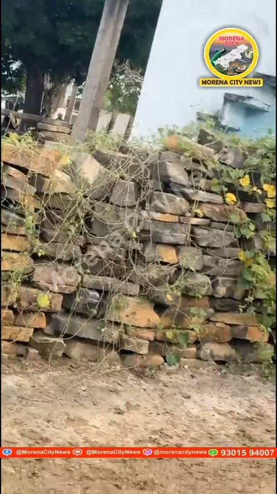 5 लाख के लेनदेन को लेकर रिश्तेदारों में विवाद, बरावली गांव में चलीं गो.लियां, 3 घायल
मुरैना। रिठौरा थाना क्षेत्र के बरावली गांव में करीब 5 लाख रुपये के लेनदेन को लेकर रिश्तेदारों के बीच विवाद हो गया। कहासुनी और हाथापाई के बाद फा.यरिंग की घटना हुई, जिसमें अजीत गुर्जर, दिलीप गुर्जर और नारायण गुर्जर घायल हो गए।
बताया जा रहा है कि विश्वनाथ गुर्जर और उसके भाई रामेंद्र गुर्जर पर फा.यरिंग करने का आरोप है। घटना के दौरान करीब 4-5 राउंड गो.ली चलने की बात सामने आई है। पुलिस के अनुसार दोनों पक्ष रिश्तेदार हैं और मामले को लेकर पहले गोहद में पंचायत भी हो चुकी थी। रिठौरा थाना पुलिस ने जांच शुरू कर आरोपियों की तलाश शुरू कर दी है।
#morena #मुरैना