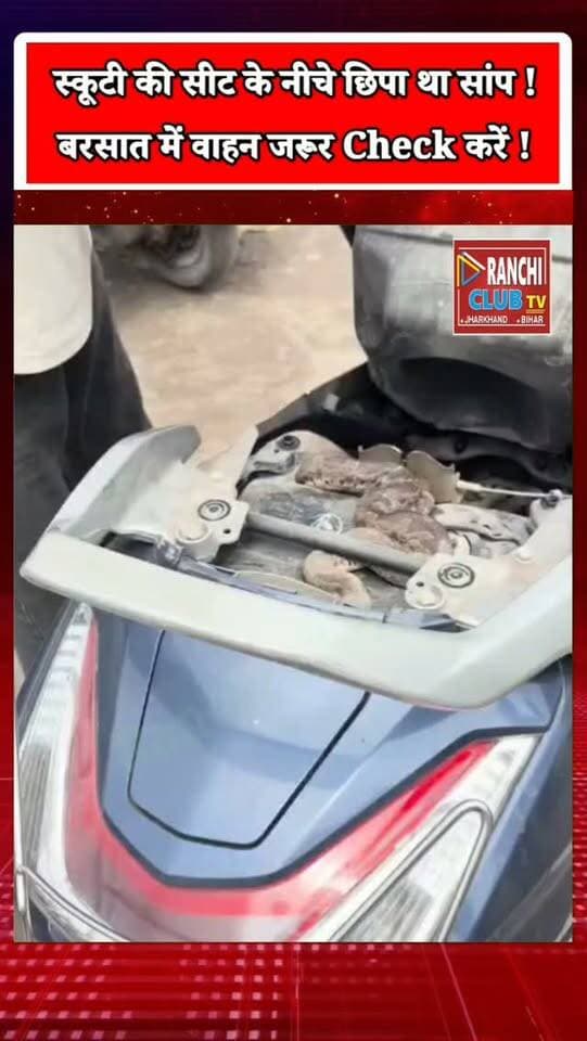 स्कूटी की Seat के नीचे छिपा था Snake ! बरसात में रहें सावधान ! Snake Rescue
#Shorts #SnakeRescue #SnakeInScooter #Monsoon #बरसात