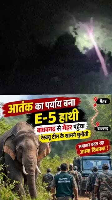 जंगली हाथी E 5 का लगातार बदलता ठिकाना