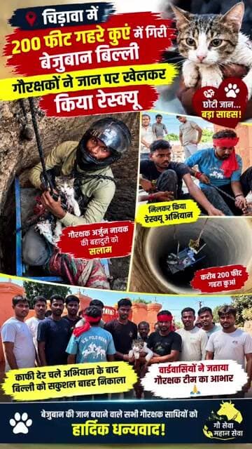 चिड़ावा में 200 फीट गहरे कुएं में गिरी बेजुबान बिल्ली, गौरक्षकों ने जान पर खेलकर किया रेस्क्यू