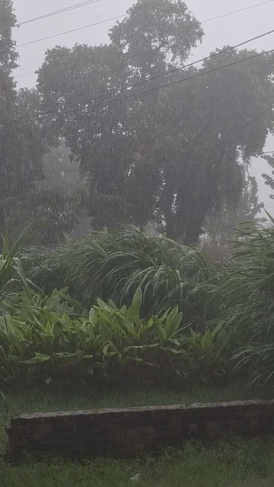 टोपरा कलां में भारी बरसात, जीरी की फसल खराब होने का डर
रादौर क्षेत्र के गांव टोपरा कलां में सोमवार को हुई भारी बरसात से किसानों की चिंता बढ़ गई है। खेतों में पानी भरने के कारण जीरी की फसल खराब होने का डर किसानों को सताने लगा है।