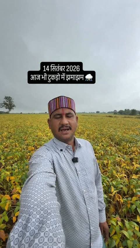 ⛈️मौसम अलर्ट मध्यप्रदेश ⛈️