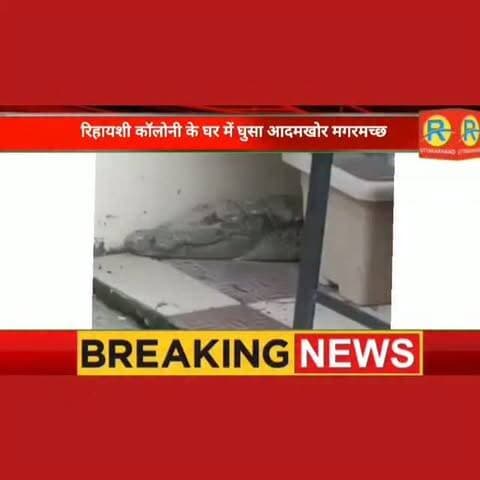 खौफनाक: रिहायशी कॉलोनी के घर में घुसा आदमखोर मगरमच्छ। बालकनी में देख उड़े लोगों के होश। वन विभाग ने किया रेस्क्यू।
#NewsUpdate #rishikesh #haridwar #magarmacch #crocodile forest