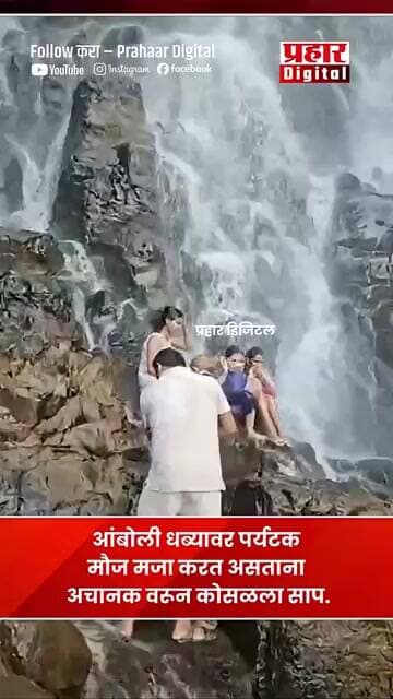 आंबोली धंधब्यावर पर्यटक मौज करत असताना अचानक वरून कोसळला साप