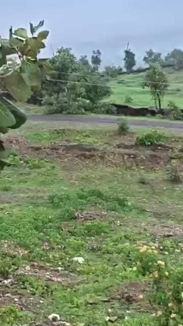 उदयपुर में रिसॉर्ट या विला बनाने के लिए उपयुक्त जगह उपलब्ध