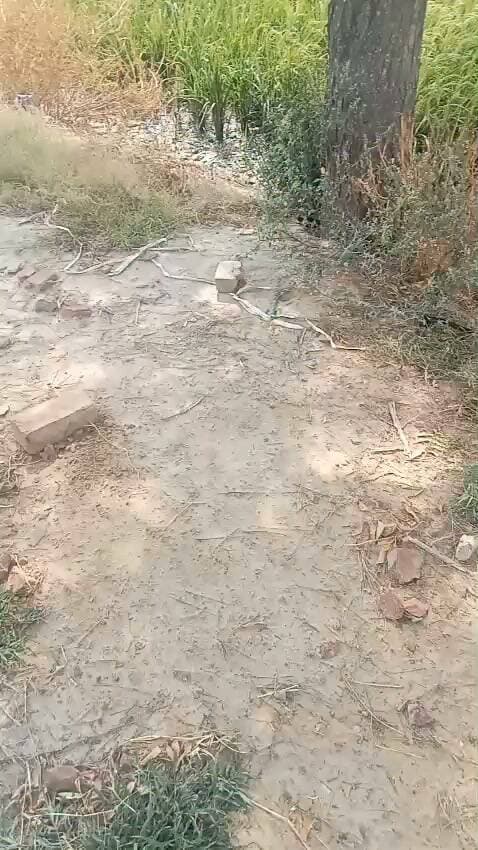 अगवा होने से बाल बाल बचा बच्चा...
तोशाम से बलियाली आ रहे बच्चे को आज एक मोटरसाइकिल सवार ने अगवा करने की कोशिश की... बवानीखेड़ा तोशाम के बीच पूनिया की dhani के पास लड़का बाइक से कूद गया। और घर में घुस गया और पुनिया परिवार के सदस्यों ने बलियाली टीम को सूचना दी। बच्चा अगवा होने से बच गया।