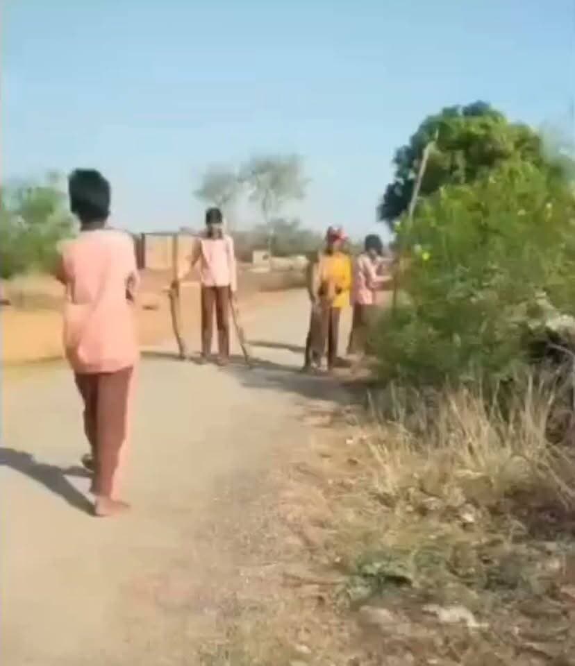 मिर्ज़ापुर: कंपोजिट विद्यालय पियूरी में मासूमों से बाल श्रम, वीडियो वायरल होने पर प्रधानाचार्य के निलंबन की मांग
मिर्ज़ापुर विकासखंड मड़िहान के पियूरी स्थित कंपोजिट विद्यालय से शिक्षा व्यवस्था को शर्मसार करने वाली तस्वीर सामने आई है। विद्यालय में पढ़ाई करने आने वाले बच्चों से पढ़ाई के बजाय झाड़ू लगवाने और भारी काम कराने का वीडियो सोशल मीडिया पर वायरल हो रहा है।
स्कूली बच्चों से कराया जा रहा झाड़ू और मजदूरी का काम
वायरल वीडियो में साफ देखा जा सकता है कि विद्यालय परिसर में बच्चों से झाड़ू लगवाया जा रहा है। इसके साथ ही बच्चों से लकड़ी, ईंट और पत्थर उठवाकर उनसे मजदूरी कराई जा रही है। गरीब मजदूरों के बच्चे जो बेहतर भविष्य की उम्मीद में स्कूल जाते हैं, उनसे इस तरह बाल श्रम कराया जाना गंभीर चिंता का विषय है।
कार्रवाई और प्रधानाचार्य को सस्पेंड करने की मांग
कानूनन बाल श्रम एक दंडनीय अपराध है, इसके बावजूद जिम्मेदार पदों पर बैठे लोग नियमों की धज्जियां उड़ा रहे हैं। वीडियो वायरल होने के बाद अभिभावकों और स्थानीय निवासियों में भारी रोष है। ग्रामीणों ने शिक्षा विभाग के उच्च अधिकारियों से मामले को तत्काल संज्ञान में लेने और दोषी प्रधानाचार्य को निलंबित (सस्पेंड) करने की मांग की है, ताकि भविष्य में बच्चों के अधिकारों से खिलवाड़ न हो सके।