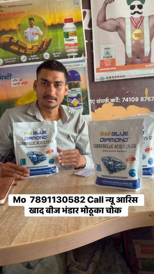 ब्लू डायमंड उपलब्ध
प्याज की फसल का दमदार उत्पादन
#reel #facebook #alwar #onion