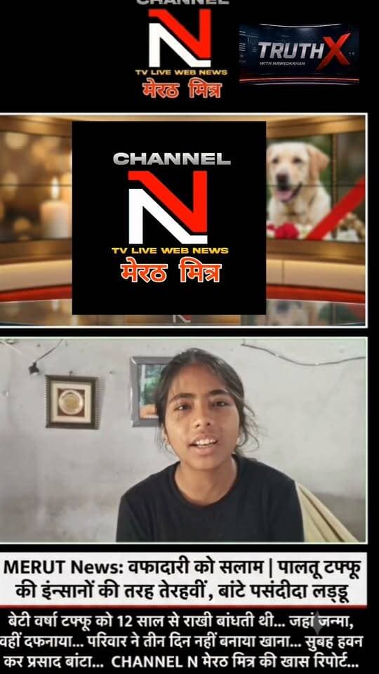 मेरठ: जहां जन्मा वहीं दफनाया... पालतू टफ्फू की इंसानों की तरह की तेरहवीं, बांटे पसंदीदा लड्डू।
मेरठ के सुनील यादव का परिवार टफ्फू के जाने से इतना दुखी था कि तीन दिनों तक घर में चूल्हा तक नहीं जला। रविवार को परिवार ने टफ्फू की आत्मा की शांति के लिए हवन कराया और रिश्तेदारों व पड़ोसियों को उसकी पसंद के लड्डू बांटे। बेटी वर्षा पिछले 12 सालों से टफ्फू को राखी बांधती आ रही थी। बेजुबां और इंसान के इस अनमोल रिश्ते पर आपकी क्या राय है? कमेंट में जरूर बताएं।
Link Call-to-Action: पूरी रिपोर्ट देखने के लिए CHANNEL N LIVE WEBNEWS पेज को फॉलो करें। Part 9