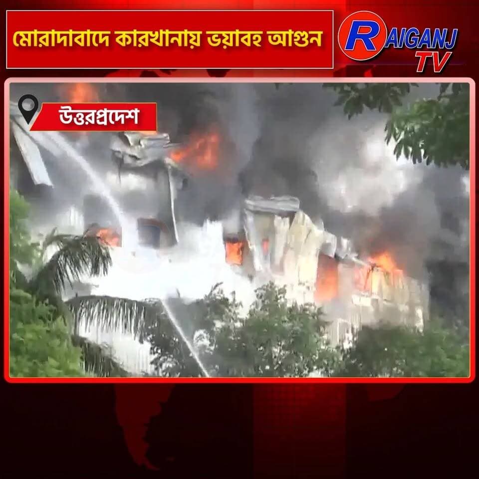 উত্তরপ্রদেশ | কাটঘর থানা এলাকায় কারখানায় আগুন, চলছে আগুন নেভানোর কাজ
#Moradabad #UttarPradesh #FactoryFire #FireAccident #FireBrigade #BreakingNews #RaiganjTV