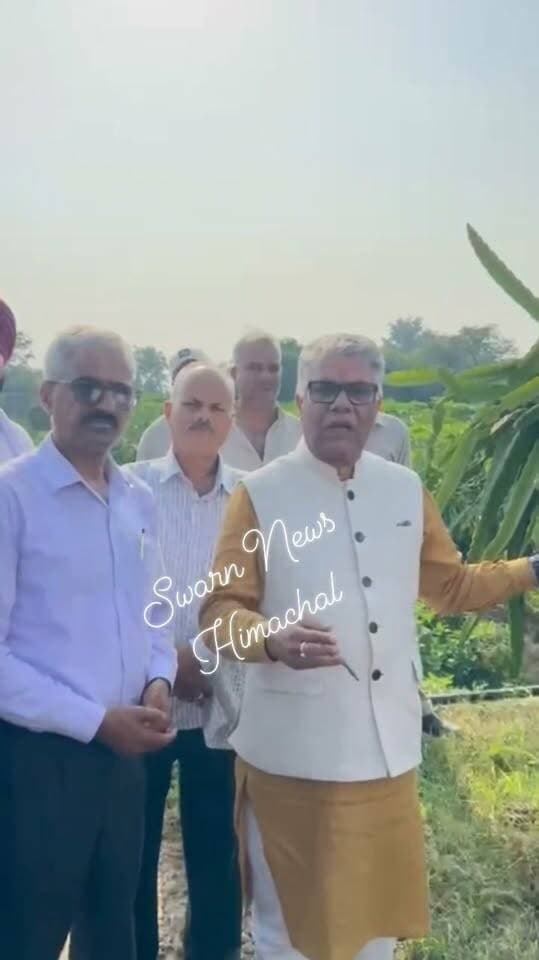सांसद राजीव भारद्वाज ने घाड्जरोट में जीवन राणा की प्राकृतिक और आधुनिक खेती का किया दौरा
बोले -सभी को प्रगतिशील किसानों से प्रेरणा लेकर प्राकृतिक कृषि को देना चाहिए बढ़ावा