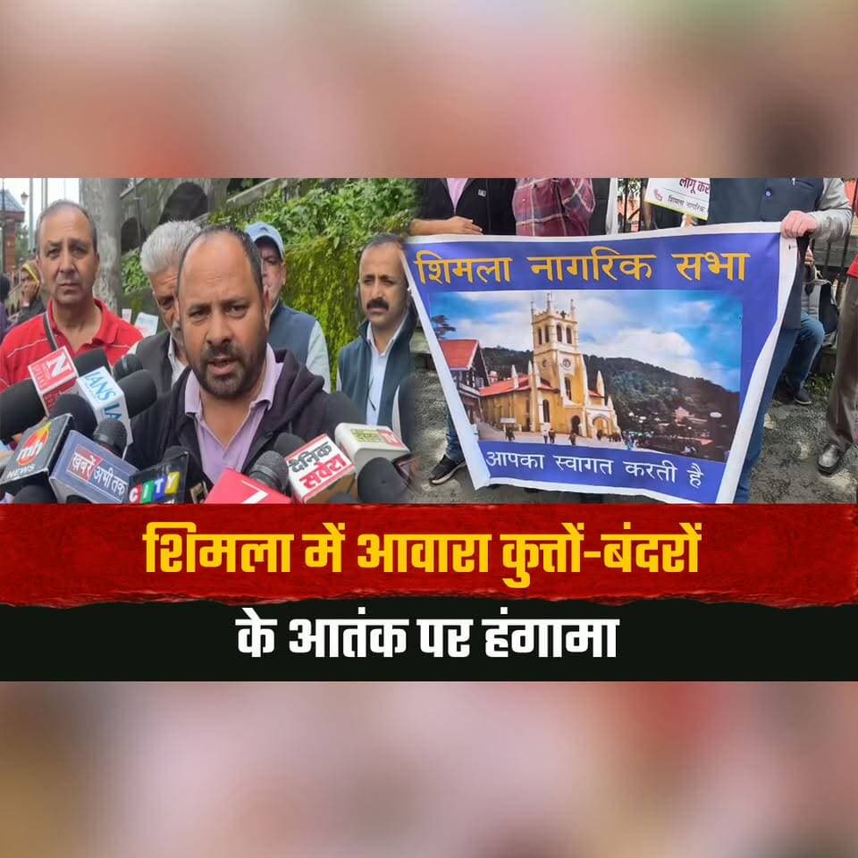 शिमला में आवारा कुत्तों-बंदरों के आ. तं. क पर हं. गा. मा
शिमला नागरिक सभा का नगर निगम के खिलाफ हल्ला बोल
#Shimla #ShimlaNagarikSabha #StrayDogs #MonkeyMenace #MunicipalCorporation #HimachalNews #thesummernewshimachal