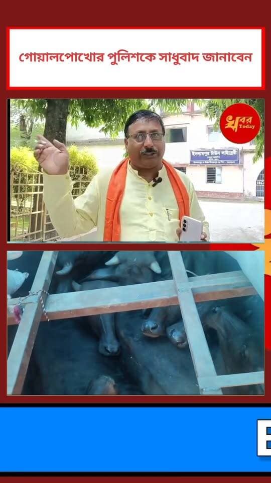 আগে পুলিশ এর নাকা লাগানো হতো টাকা তোলার জন্য আর এখন পুলিশ নিজের গাড়ি থেকে মহিষ উদ্ধার করছে ধন্যবাদ জানাই পুলিশকে Khabar Today #IslampurPoliceDistrict