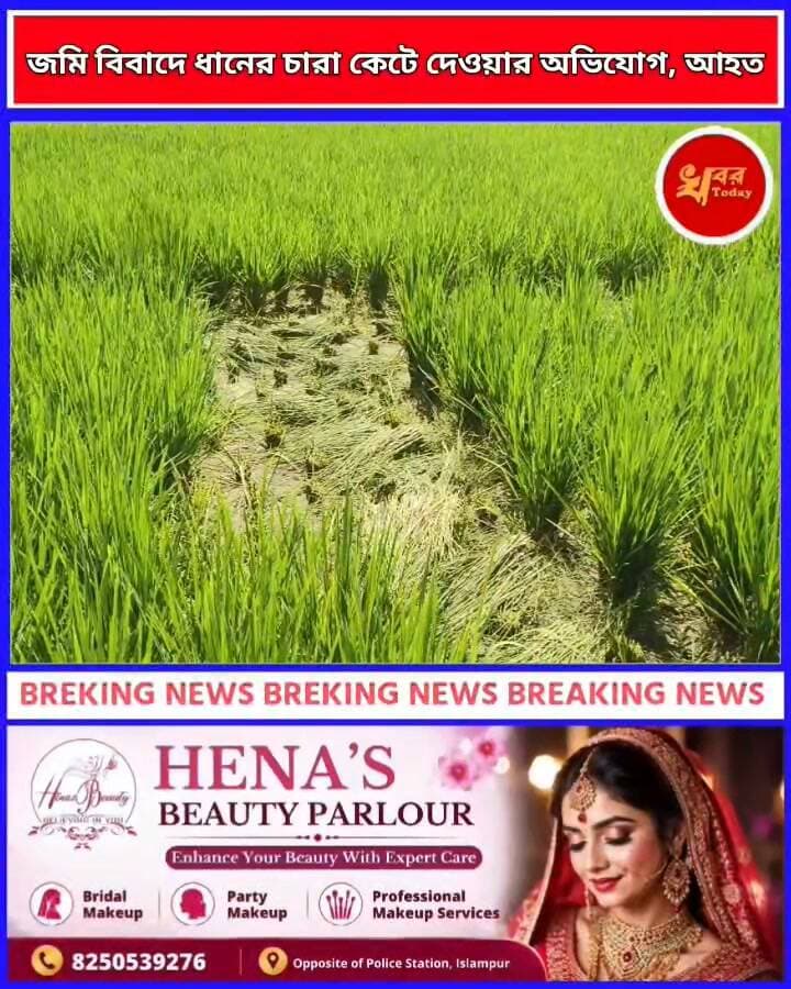জমি বিবাদে ধানের চারা কেটে দেওয়ার অভিযোগ, আহত মামা Khabar Today #IslampurPoliceDistrict