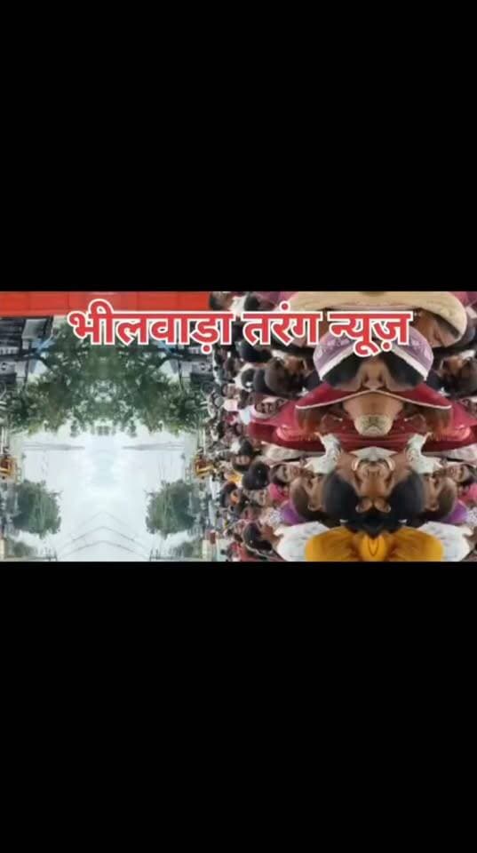 *भादवी बीज पर पुर डूंगरी में बाबा रामदेव जी का जन्मोत्सव मेला धूमधाम से मनाया गया*
पुर (भीलवाड़ा) : रतनलाल आचार्य की रिपोर्ट लोकदेवता बाबा रामदेव जी के जन्मोत्सव भादवी बीज के पावन अवसर पर *13 सितंबर 2026* को पुर डूंगरी में भव्य मेले का आयोजन किया गया।
*आयोजक, आयुक्त महोदय नगर निगम भीलवाड़ा* रहे, वहीं *स्वागतकर्ता बाबा रामदेव जी सेवा संस्थान पुर* रहा।
इस अवसर पर बाबा रामदेव सेवा समिति देव डूंगरी पुर के तत्वाधान में विशाल शोभायात्रा निकाली गई, जिसमें हजारों की संख्या में श्रद्धालु शामिल हुए। महिलाएं, पुरुष एवं बच्चे डीजे पर बज रहे बाबा के भजनों पर नाचते-झूमते चले। पूरा पुर कस्बा "जय बाबा री" के जयकारों से गूंज उठा।
मेले में मुख्य आकर्षण *विशाल शोभायात्रा एवं भजन संध्या* रही। भजन संध्या में *सुप्रसिद्ध भजन गायिका सोनू सिसोदिया एंड पार्टी, सुप्रसिद्ध भजन गायक मनीष खोईवाल, पवन झांकी ग्रुप, सुरेश वैष्णव, श्री देव म्यूजिकल ग्रुप सुरास* ने अपनी प्रस्तुतियों से श्रद्धालुओं को मंत्रमुग्ध कर दिया।
कार्यक्रम में *श्री देव साउंड विजयनगर (करण गुर्जर) एवं घाटारानी इवेंट्स पुर (रंगा भाई पुर)* की विशेष व्यवस्था रही तथा *RK FILMS LIVE* पर कार्यक्रम का सीधा प्रसारण भी किया गया।
नगर निगम द्वारा भी पुर स्थित बाबा रामदेव मंदिर देव डूंगरी स्थल पर मेले की संपूर्ण व्यवस्था की गई तथा भजन संध्या एवं कबड्डी प्रतियोगिता का भी आयोजन रखा गया।
वाल्मीकि समाज पुर द्वारा शाम को बाबा रामदेव के ध्वज निसान चढ़ाया गया जो वाल्मीकि मोहल्ले से लेकर डीजे के साथ नाचते झूमते गाते हुए हर्ष उल्लास से बाबा रामदेव मंदिर परिसर पहुंचा।
*कबड्डी प्रतियोगिता में आरजिया ग्राम की टीम ने शानदार प्रदर्शन करते हुए फाइनल मुकाबला जीतकर ₹11000 नगद एवं ट्रॉफी अपने नाम की, वहीं हलेड़ ग्राम की टीम उपविजेता रही, जिसे ₹7000 नगद एवं ट्रॉफी प्रदान की गई।*
हर वर्ष की भांति इस वर्ष भी तेली समाज द्वारा पूरे मेले में जलपान की व्यवस्था* कर अपनी सेवाएं दी गई।