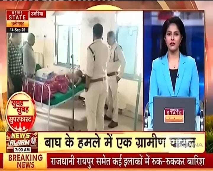 रहवासी क्षेत्र में घुसा बाघ,एक शख्स को किया घायल.