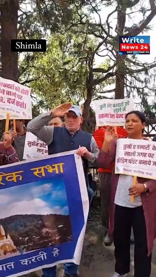 शिमला में आवारा कुत्तों और बंदरों के बढ़तेआतंक के विरोध में शिमला नागरिक सभा ने नगर निगम के खिलाफ बोला हल्ला, उग्र आंदोलन और घेराव की दी चेतावनी