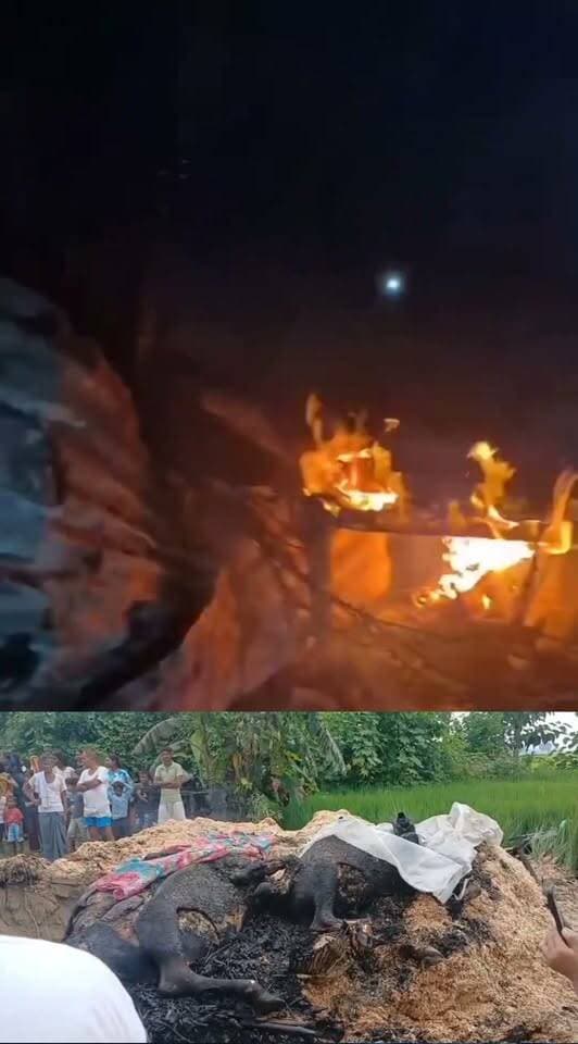 🚨 ब्रेकिंग न्यूज़ | अरनहवा में आग का तांडव 🔥
धुइहर से घारी में भड़की भीषण आग, दो गायें जिंदा जलीं! 🐄💔
महराजगंज के अरनहवा में आग लगने से हड़कंप मच गया। धुइहर से घारी में भड़की आग ने देखते ही देखते विकराल रूप ले लिया। आग की चपेट में आने से दो गायें जिंदा जल गईं, जबकि चार ट्रॉली भूसा, नकदी, मोबाइल समेत घर-गृहस्थी का पूरा सामान जलकर राख हो गया।
🔥 आग की इस घटना में करीब 2 लाख रुपये के नुकसान का अनुमान है। हादसे के बाद पशुपालक परिवार में कोहराम मच गया।
🚒 फायर ब्रिगेड और ग्रामीणों की कड़ी मशक्कत के बाद आग पर काबू पाया गया।
👉 घटना की विस्तृत जानकारी जुटाई जा रही है।
Public maharajganj
#BreakingNews #Aranhawa #Maharajganj #MaharajganjNews #Fire #FireNews #UPNews #ViralNews #HindiNews #PublicMaharajganjNews #NewsUpdate #everyone #followers