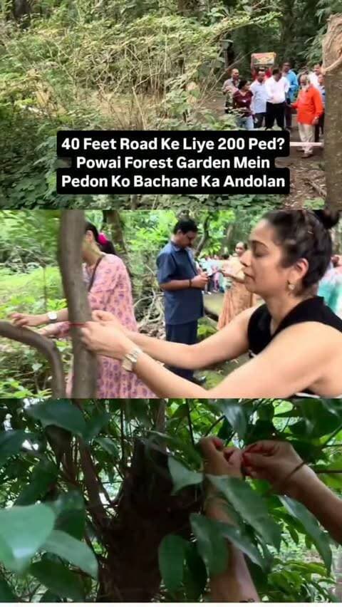 मुंबई उपनगरतिळ पवई येथील फॉरेस्ट गार्डन या उद्यानाचा अस्तित्यावर आता टांगती तळावर निर्माण झाली आहे
मुंबई महापालिकेच्या विकास नियोजन आराखडा 2034 अंतर्गत या नैसर्गिक उद्यानातून सुमारे 40 फुटी रुंद विकास नियोजन रस्ता प्रस्तावित करण्यात आला आहे
या नियोजित रस्त्यामुले उद्यानातील 200 वृक्ष तोडले जाण्याची शक्यता वर्तवली जात आहे
या वृक्ष तोडी विरोधात शिवसेना (उबाठा सेना) तीव्र विरोध दर्शवत आक्रमक आंदोलने केला
या वृक्षतोडीमुळे पर्यावरणाचा नाश होईल, असा आक्षेप घेत शिवसेनेच्या स्थानिक पदाधिकाऱ्यांनी व कार्यकर्त्यांनी नागरिक व पर्यावरणप्रेमींनि जोरदार निदर्शने केलं
नागरिकांनी पदाधिकाऱ्यांनी व कार्यकर्त्यांनी आणि पर्यावरणप्रेमींनि झाडाला सुरक्षा बंधन बांधून आपला रोष व्यक्त केला.